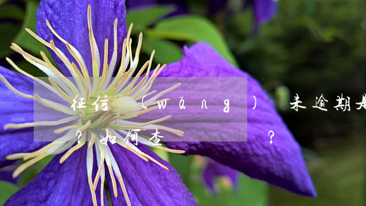 征信網(wǎng)貸未逾期是否有記錄？如何查詢？